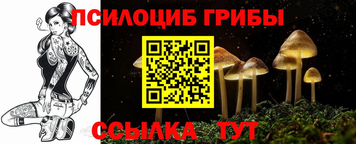 Избербаш  дарнет шоп  Вход с VPN  Псилоцибиновые грибы Cubensis 